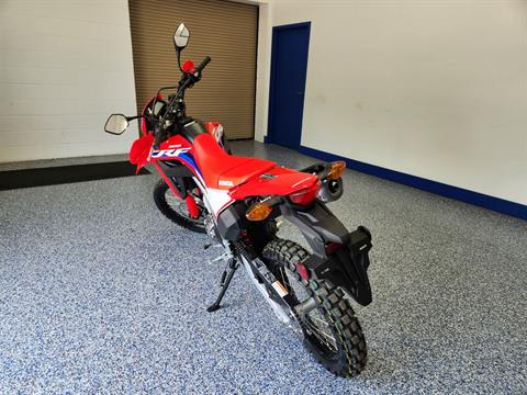 2024 Honda CRF300L ABS in Beaver Dam, Wisconsin - Photo 6