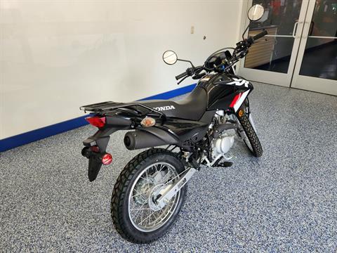 2023 Honda XR150L in Beaver Dam, Wisconsin - Photo 6