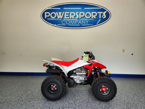 2024 Honda TRX250X in Beaver Dam, Wisconsin - Photo 1