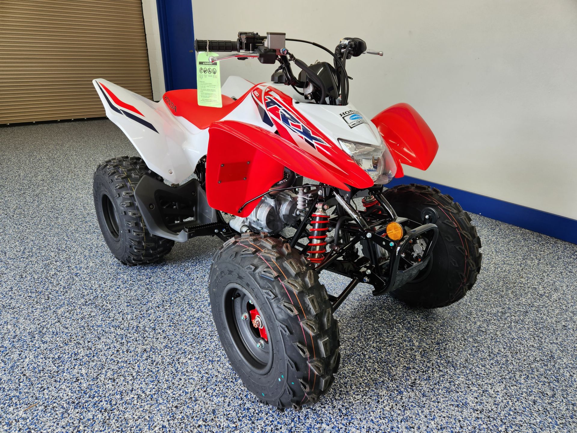 2024 Honda TRX250X in Beaver Dam, Wisconsin - Photo 2