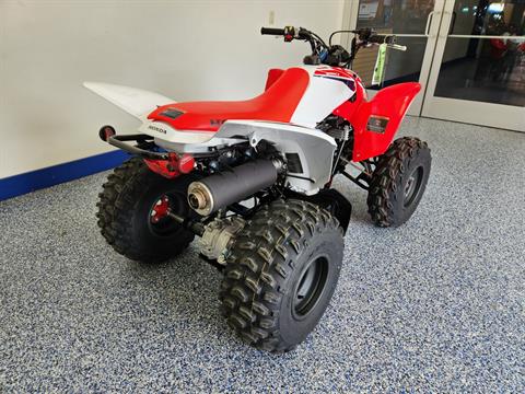 2024 Honda TRX250X in Beaver Dam, Wisconsin - Photo 8