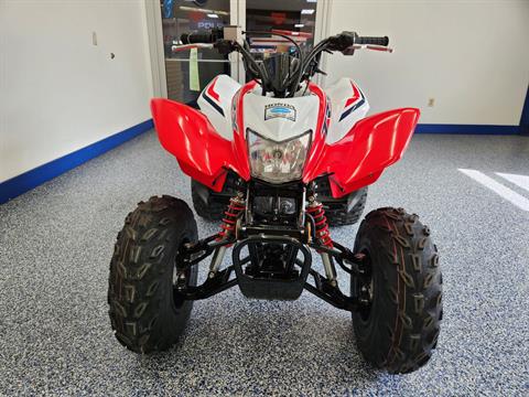 2024 Honda TRX250X in Beaver Dam, Wisconsin - Photo 3