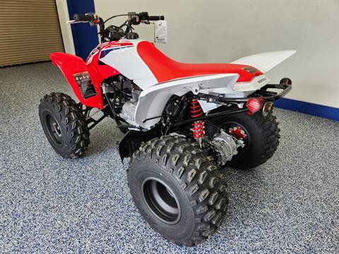 2024 Honda TRX250X in Beaver Dam, Wisconsin - Photo 6