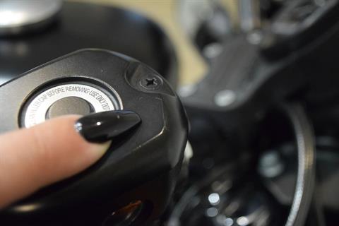 2015 Harley-Davidson Iron 883™ in Wauconda, Illinois - Photo 29
