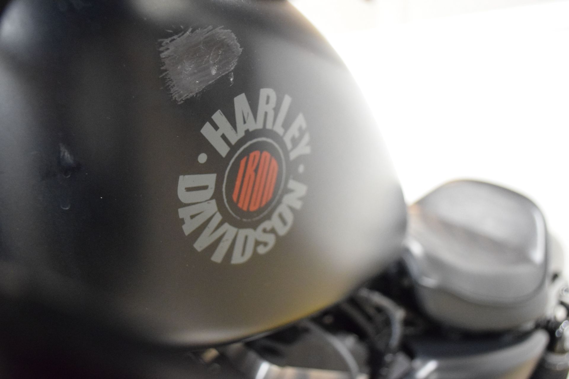 2019 Harley-Davidson Iron 883™ in Wauconda, Illinois - Photo 20