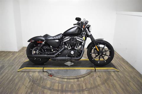 2019 Harley-Davidson Iron 883™ in Wauconda, Illinois - Photo 1