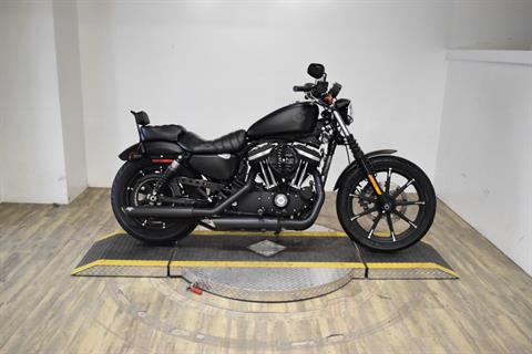 2020 Harley-Davidson Iron 883™ in Wauconda, Illinois