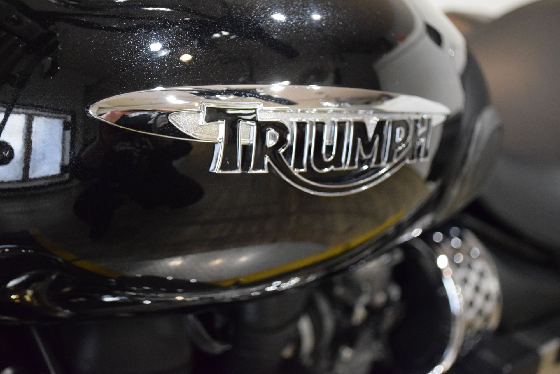 2016 Triumph America in Wauconda, Illinois - Photo 20