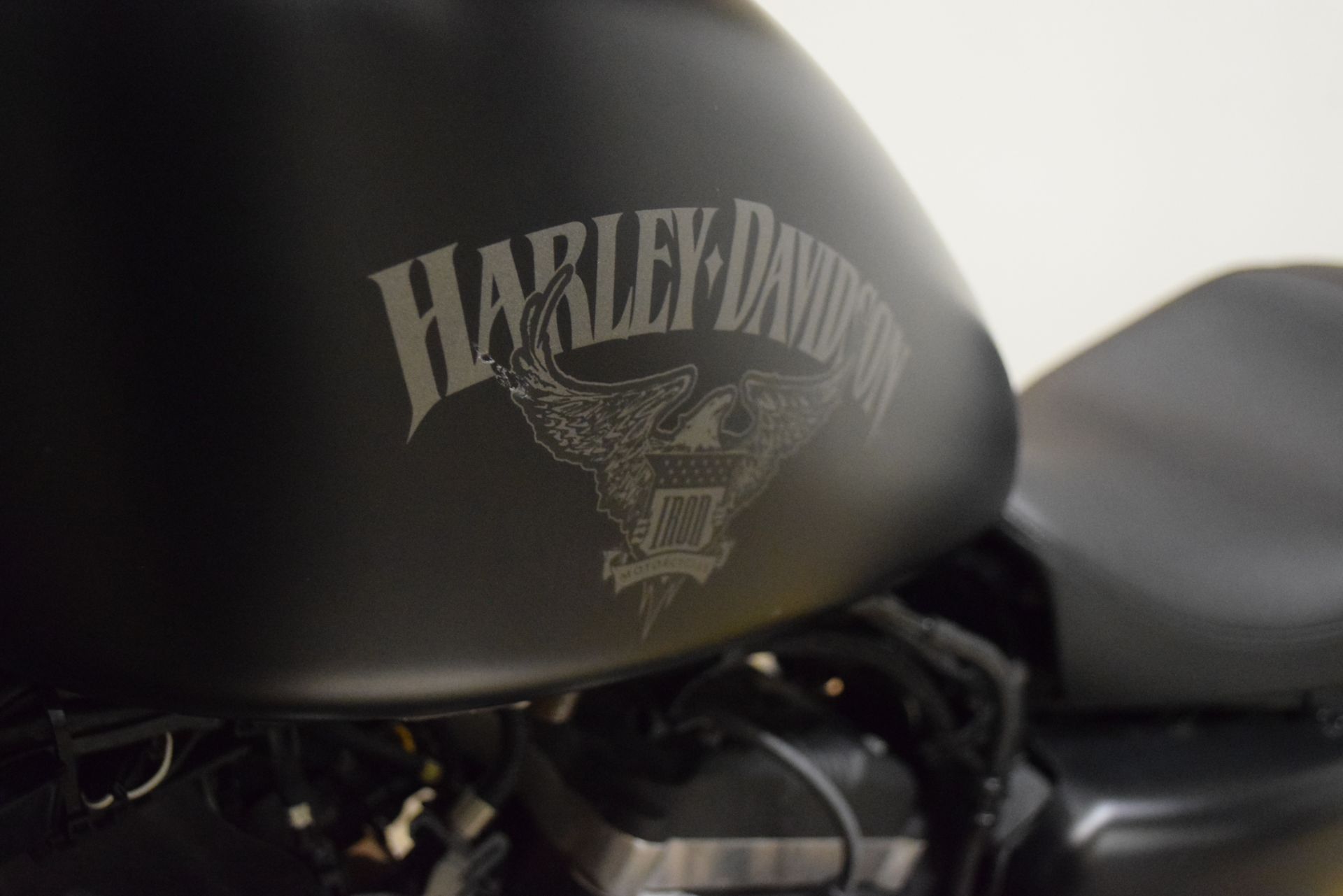 2017 Harley-Davidson Iron 883™ in Wauconda, Illinois - Photo 21