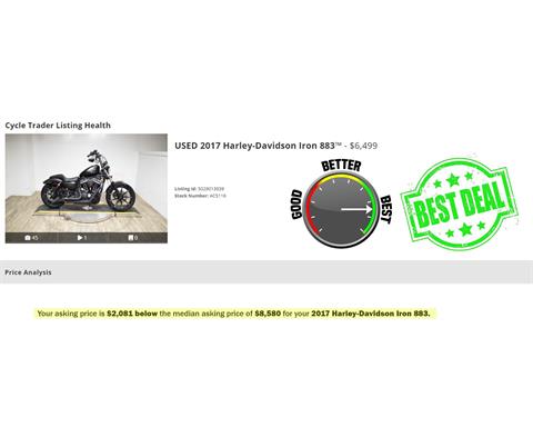 2017 Harley-Davidson Iron 883™ in Wauconda, Illinois - Photo 2