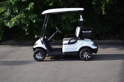 2022 Icon Electric Vehicles i20 Electric (Golf Package) in Wauconda, Illinois - Photo 8