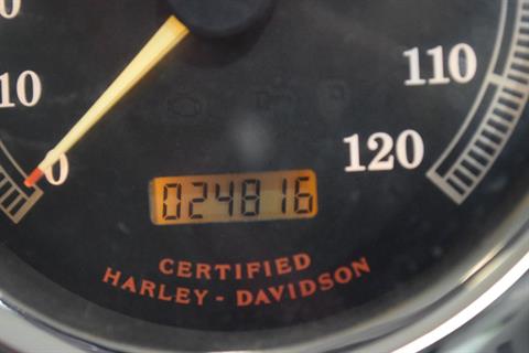 2001 Harley-Davidson Softail Deuce in Wauconda, Illinois - Photo 28