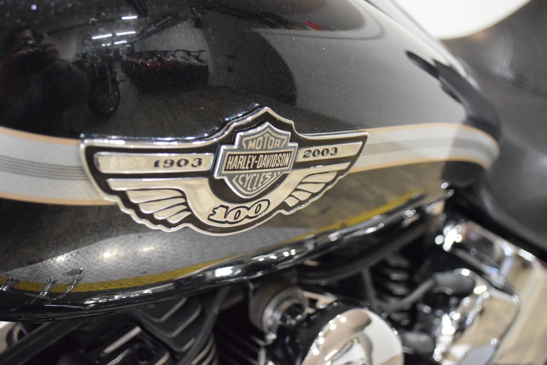 2003 Harley-Davidson FXSTD/FXSTDI Softail®  Deuce™ in Wauconda, Illinois - Photo 20