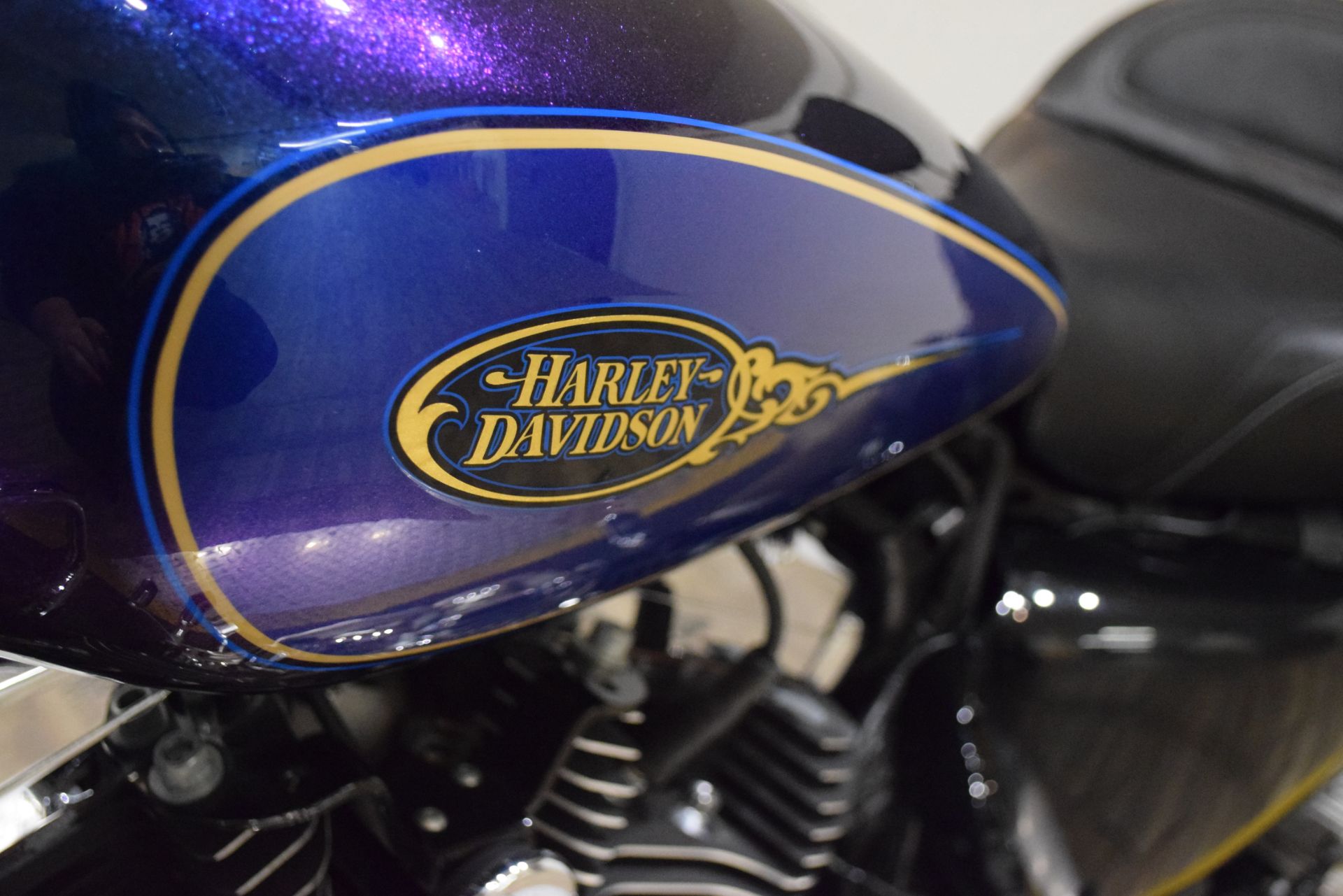 2009 Harley-Davidson Sportster® 1200 Custom in Wauconda, Illinois - Photo 20