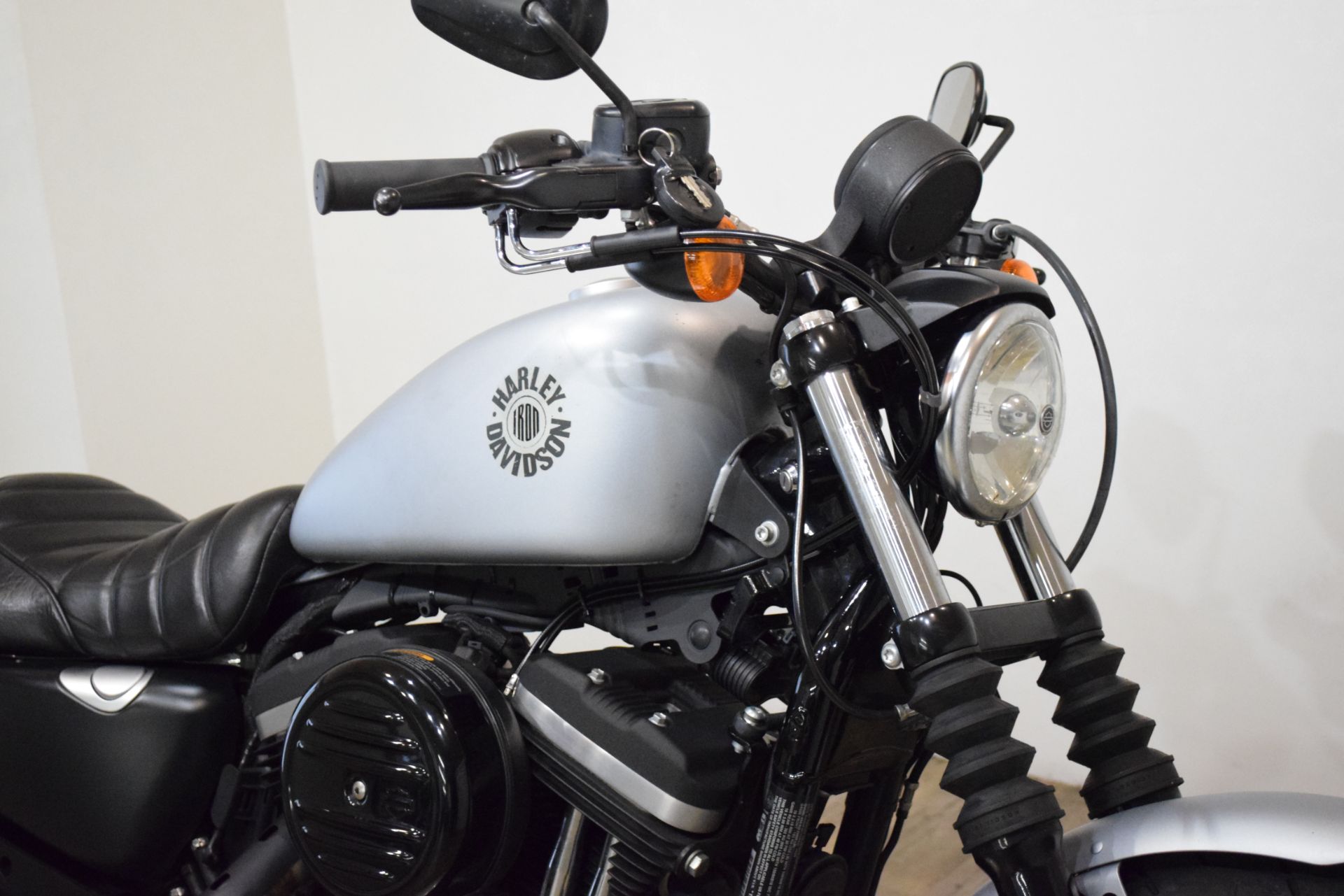 2020 Harley-Davidson Iron 883™ in Wauconda, Illinois - Photo 3
