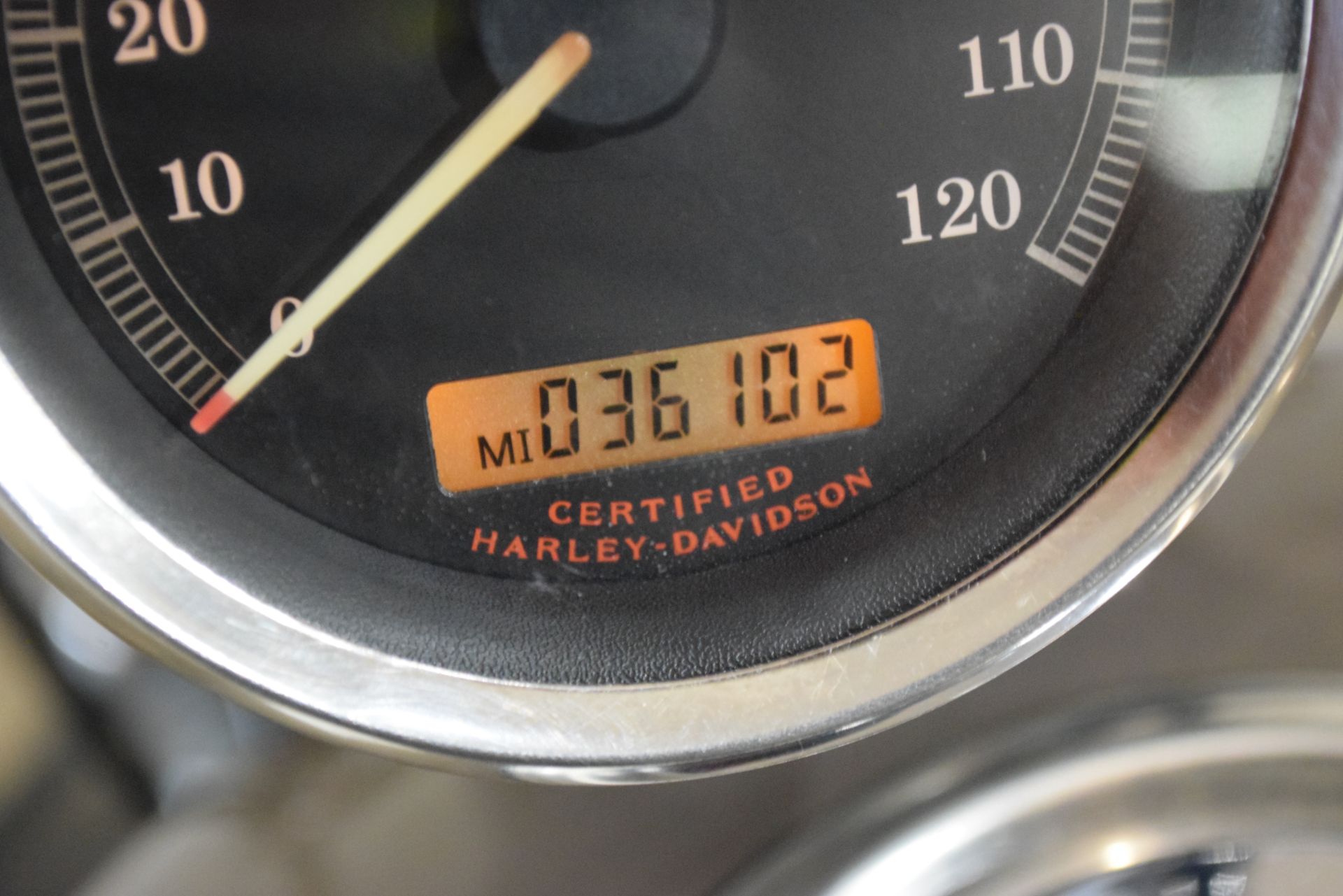 2005 Harley-Davidson Sportster® XL 1200 Custom in Wauconda, Illinois - Photo 27