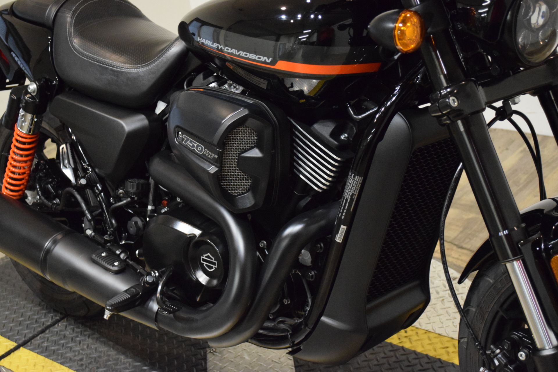 2019 Harley-Davidson Street Rod® in Wauconda, Illinois - Photo 4