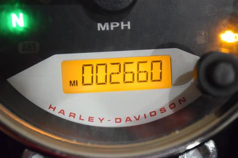 2019 Harley-Davidson Street Rod® in Wauconda, Illinois - Photo 28