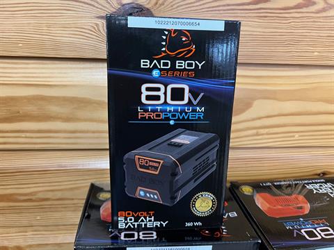Bad Boy Mowers 80V 5.0 Ah Battery in Saucier, Mississippi - Photo 1