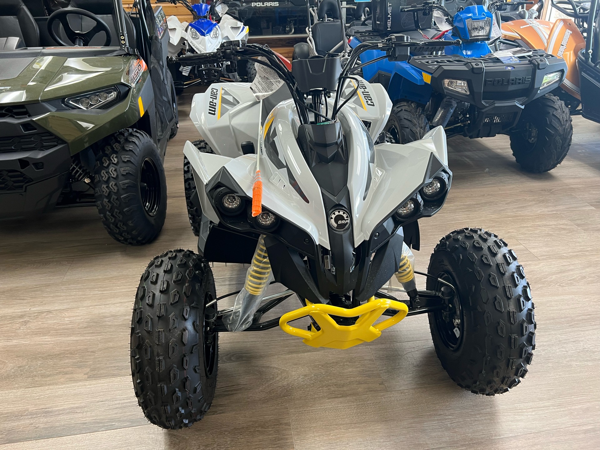 2024 Can-Am Renegade 110 EFI in Saucier, Mississippi - Photo 9