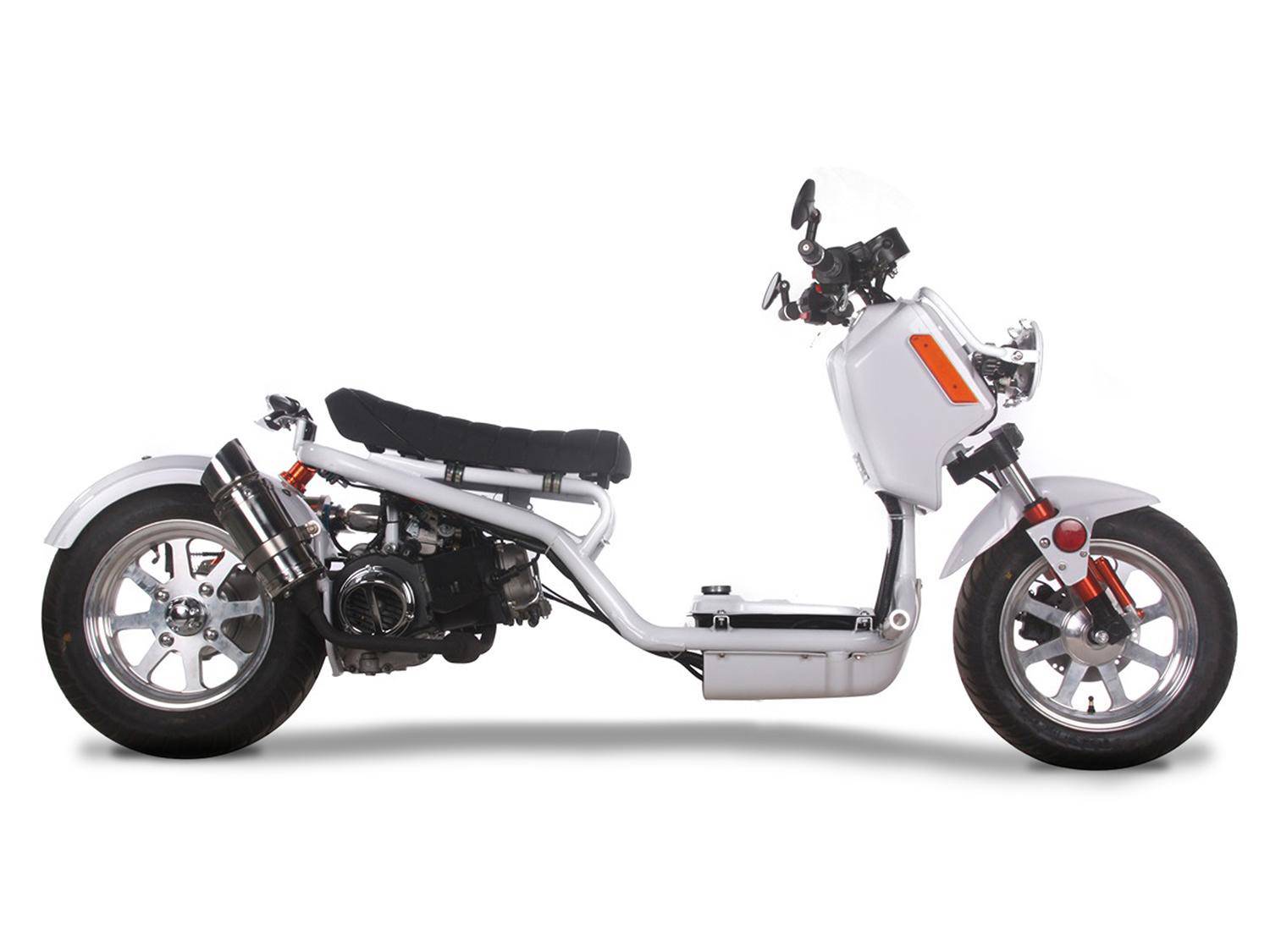 New 2020 Icebear Maddog 150 | Scooters in Largo FL | White