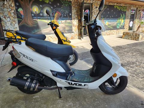 2017 Wolf Brand Scooters RX50 in Largo, Florida - Photo 1