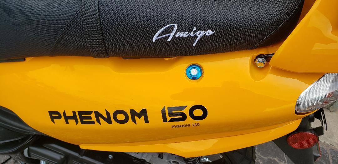 2022 Amigo Motorsports Phenom 150 in Largo, Florida - Photo 8