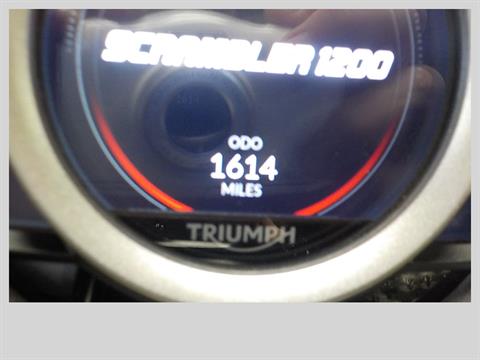 2023 Triumph Scrambler 1200 XE in San Antonio, Texas - Photo 7
