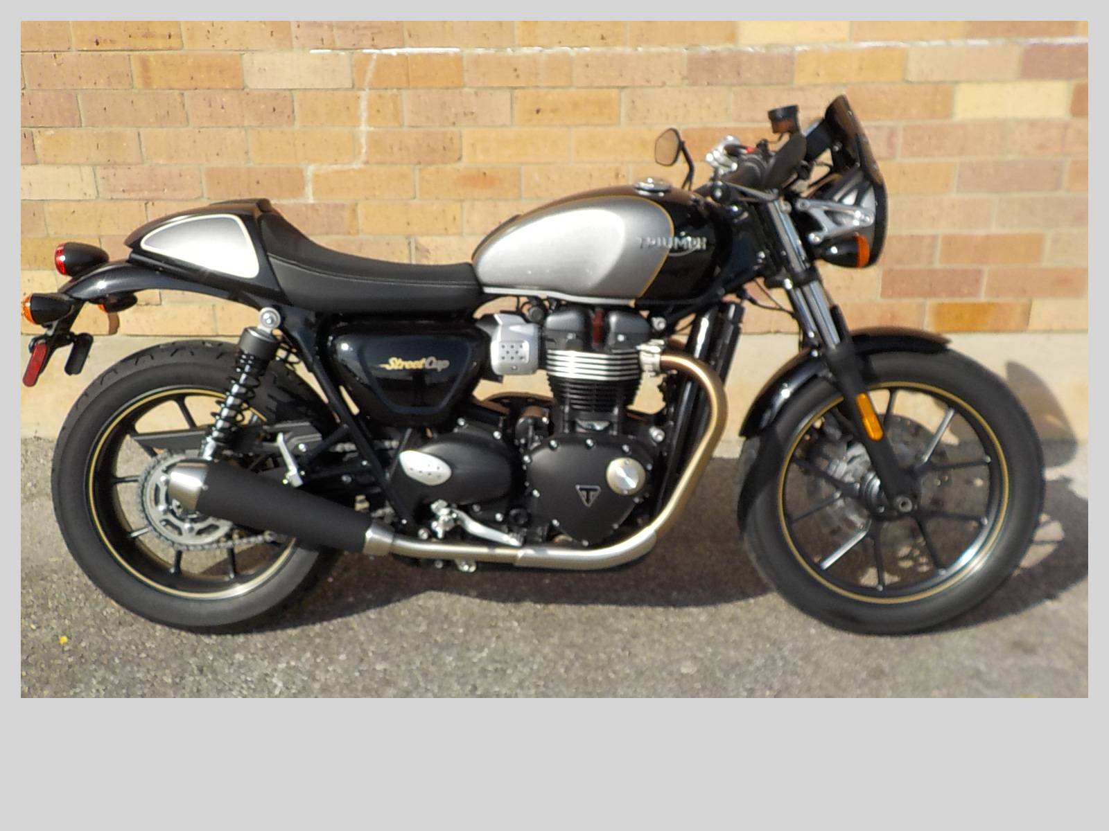 used triumph street cup for sale