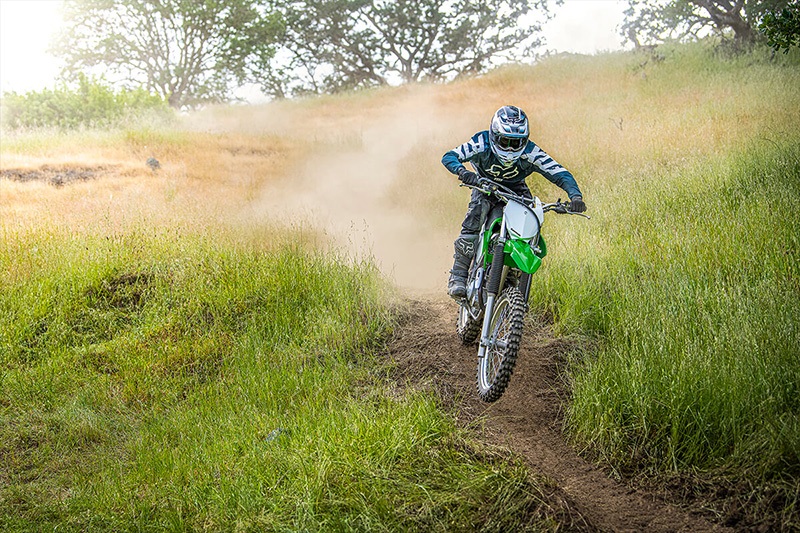 2022 Kawasaki KLX 230R in Erda, Utah - Photo 4