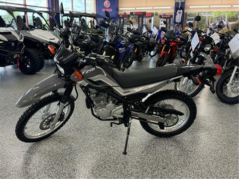 2024 Yamaha XT250 in Saint Joseph, Missouri - Photo 5