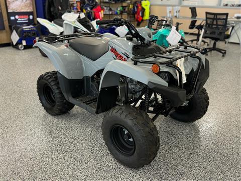 2023 Yamaha Grizzly 90 in Saint Joseph, Missouri - Photo 1