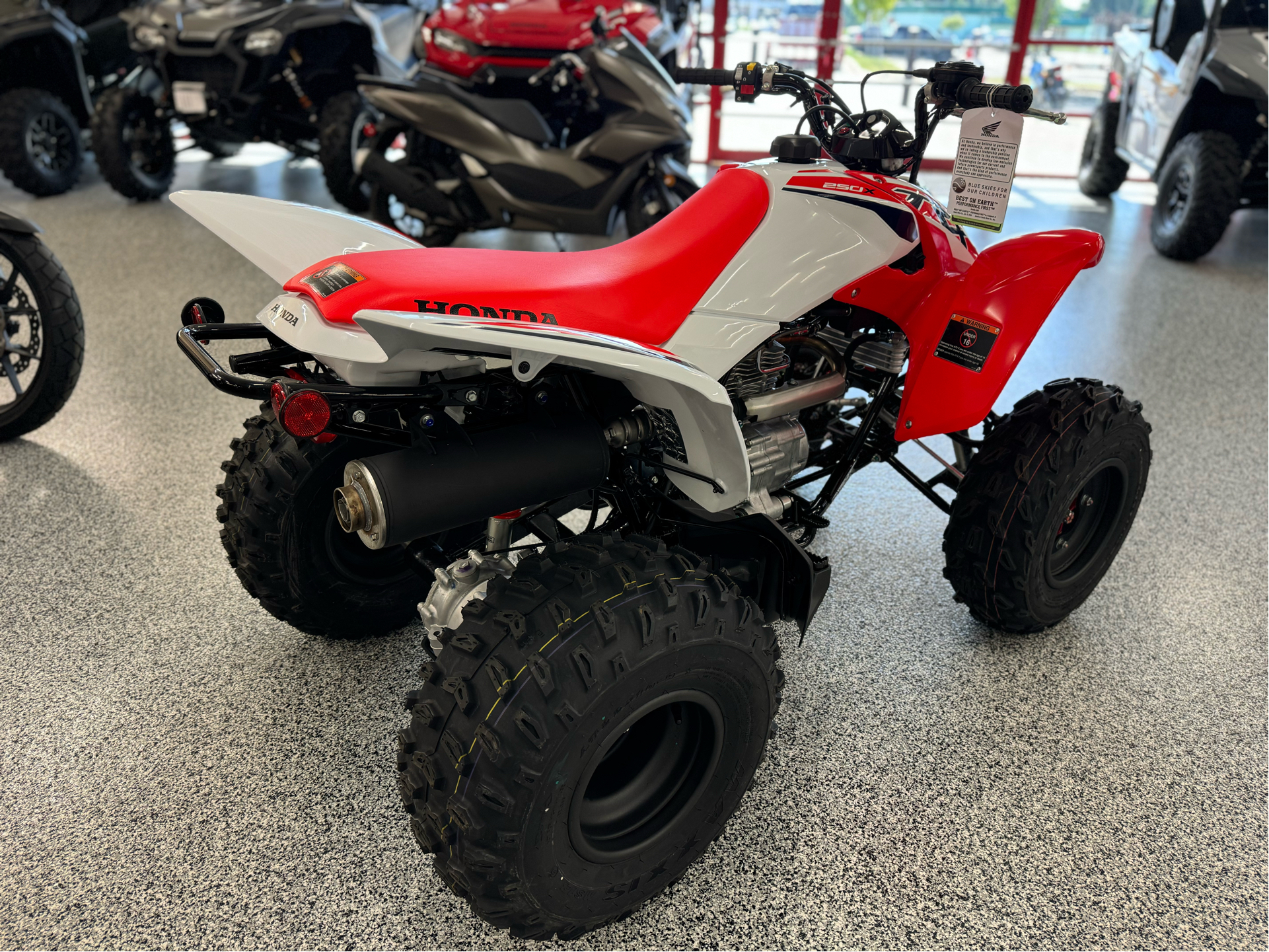 2024 Honda TRX250X in Saint Joseph, Missouri - Photo 3