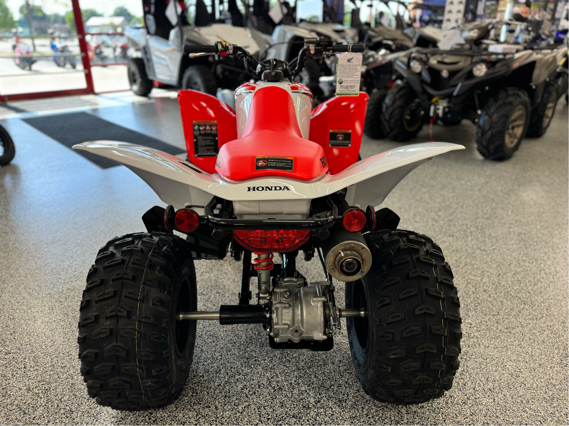 2024 Honda TRX250X in Saint Joseph, Missouri - Photo 4