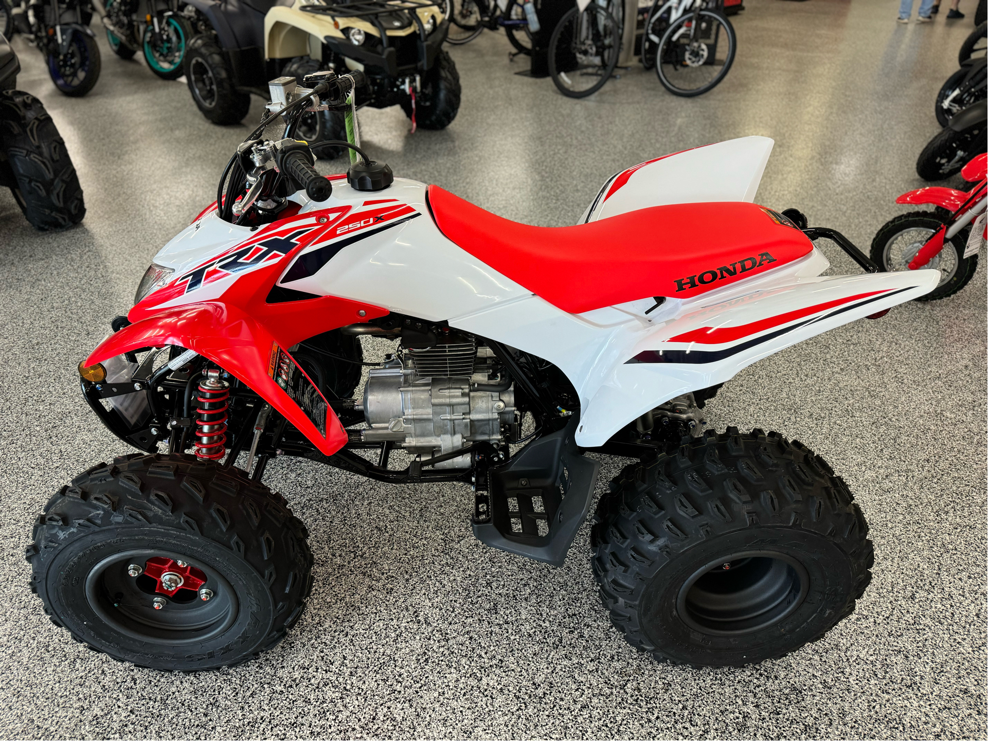 2024 Honda TRX250X in Saint Joseph, Missouri - Photo 5