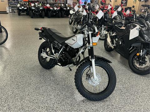 2024 Yamaha TW200 in Saint Joseph, Missouri - Photo 1