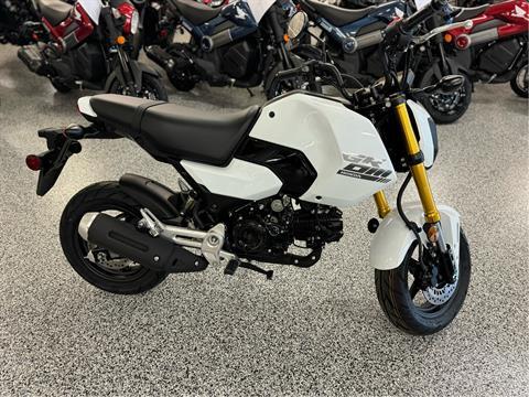 2025 Honda Grom in Saint Joseph, Missouri - Photo 2