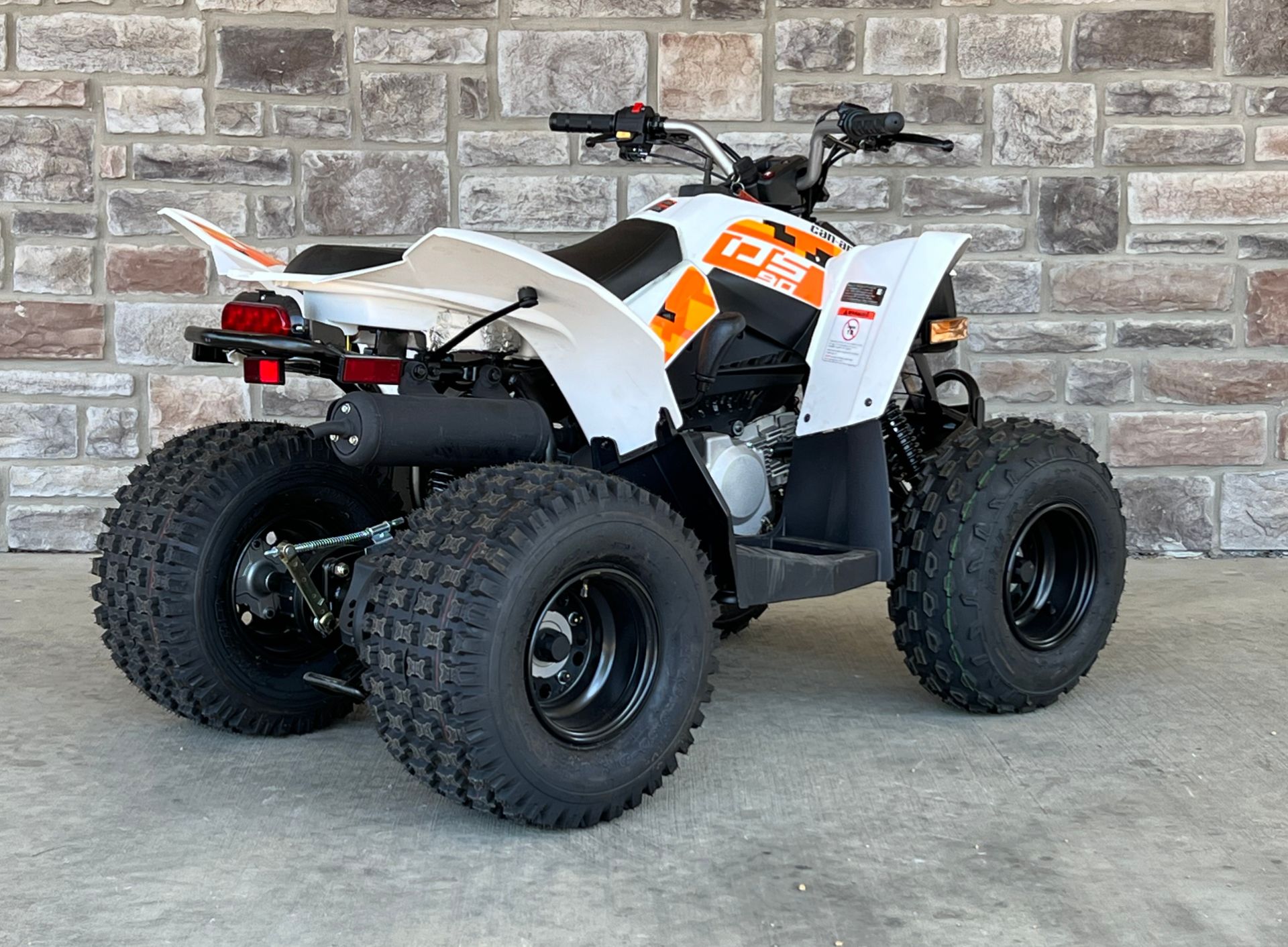 2022 Can-Am DS 90 in Gainesville, Texas - Photo 7