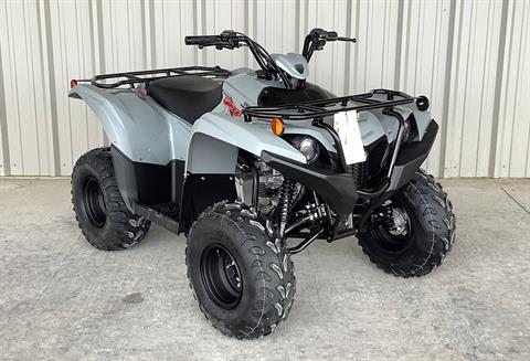 2023 Yamaha Grizzly 90 in Gainesville, Texas - Photo 1