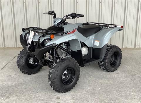 2023 Yamaha Grizzly 90 in Gainesville, Texas - Photo 3