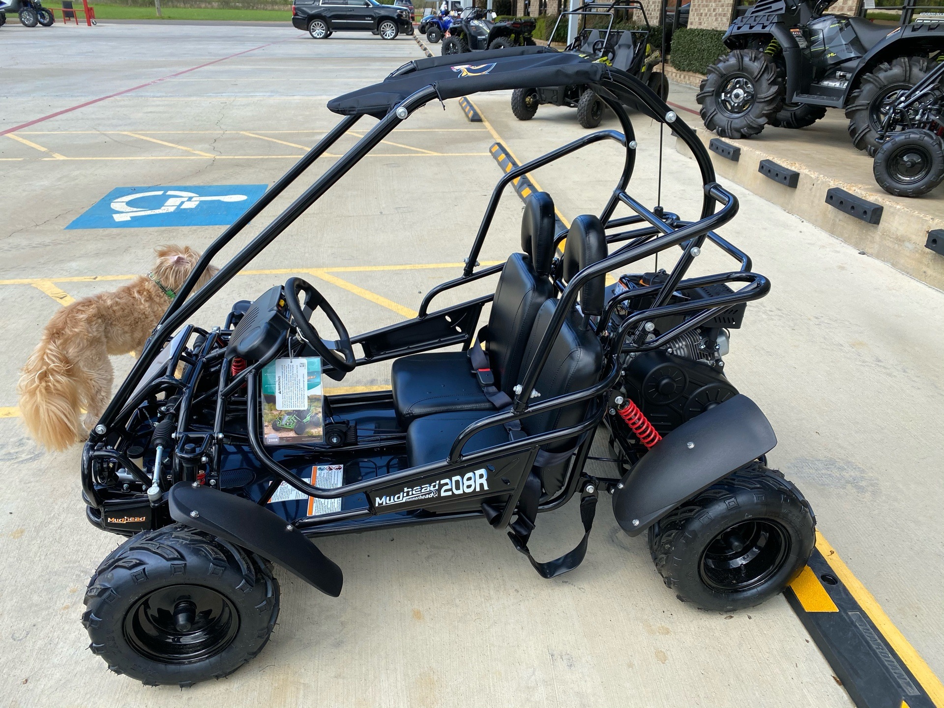 mudhead go kart