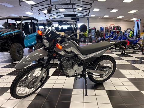 2024 Yamaha XT250 in Tulsa, Oklahoma - Photo 1