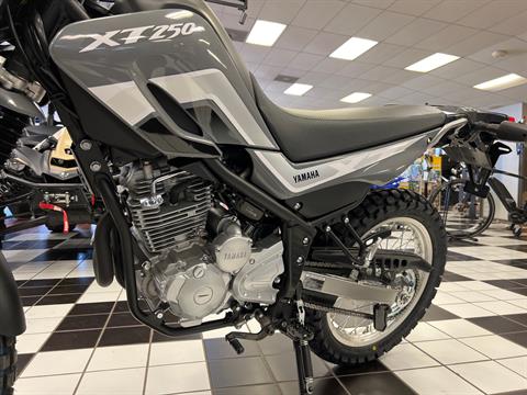 2024 Yamaha XT250 in Tulsa, Oklahoma - Photo 9