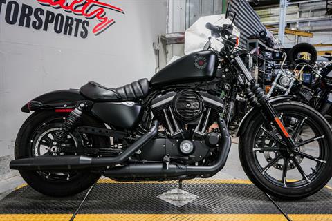 2020 Harley-Davidson Iron 883™ in Sacramento, California - Photo 9