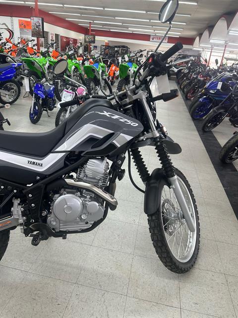 2024 Yamaha XT250 in Colorado Springs, Colorado - Photo 6