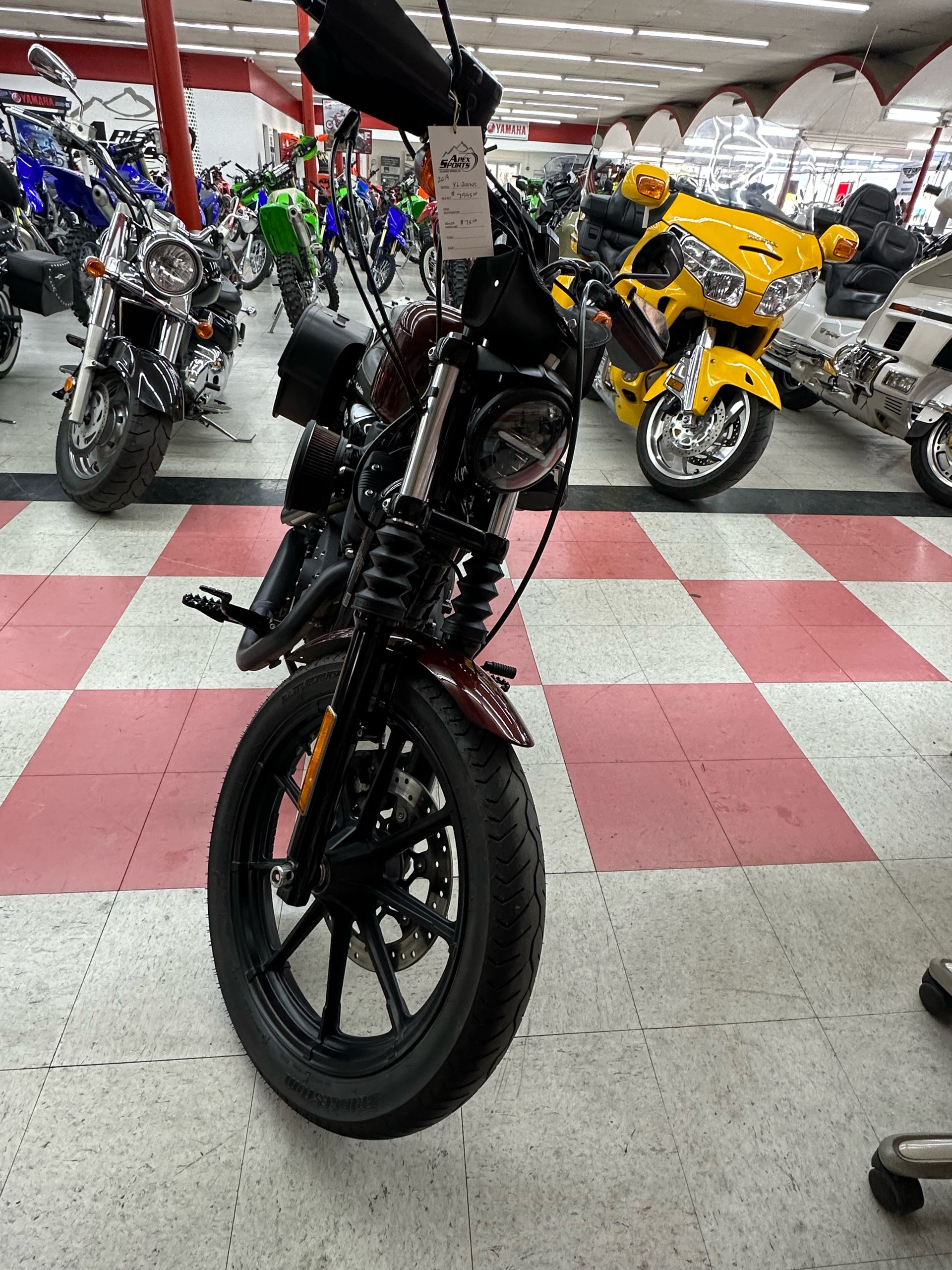 2019 Harley-Davidson Iron 1200™ in Colorado Springs, Colorado - Photo 8