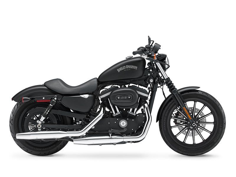 2015 Harley-Davidson Iron 883™ in Eden Prairie, Minnesota