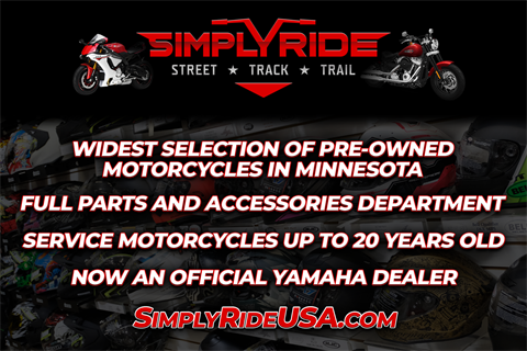2017 Indian Motorcycle Roadmaster® Icon Series in Eden Prairie, Minnesota - Photo 10
