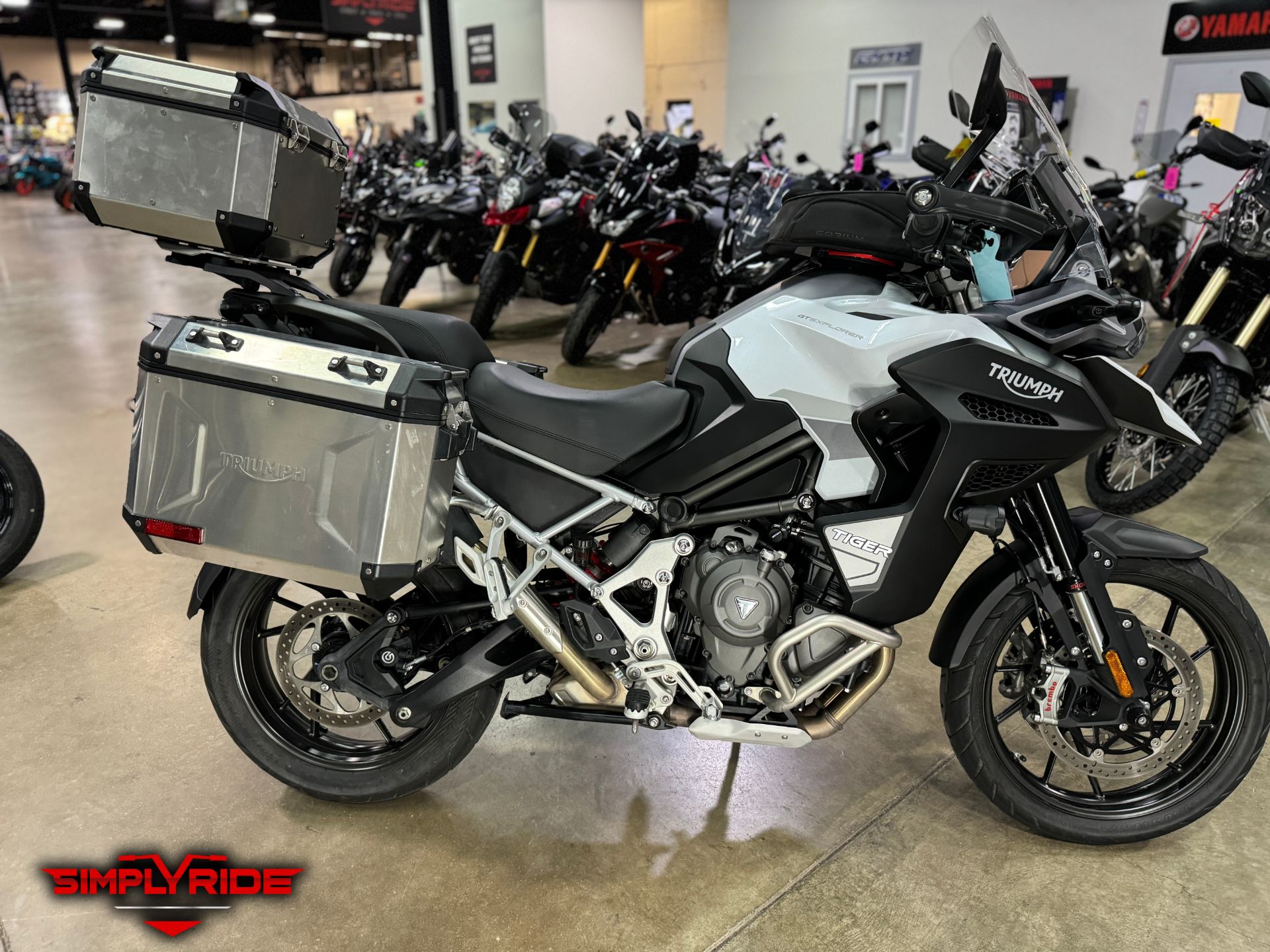 2023 Triumph Tiger 1200 GT Explorer in Eden Prairie, Minnesota - Photo 1