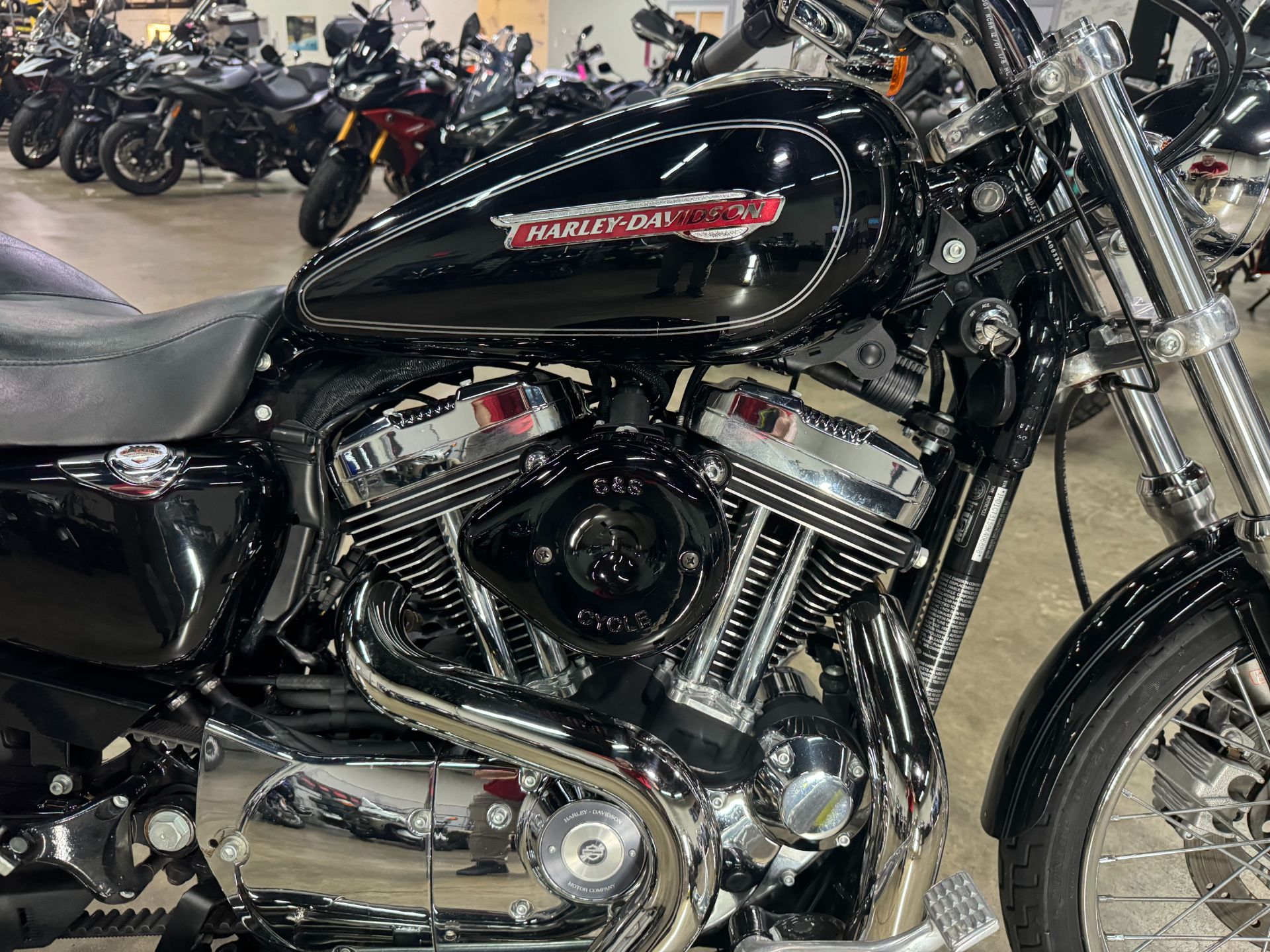 2009 Harley-Davidson Sportster 1200 Custom in Eden Prairie, Minnesota - Photo 3